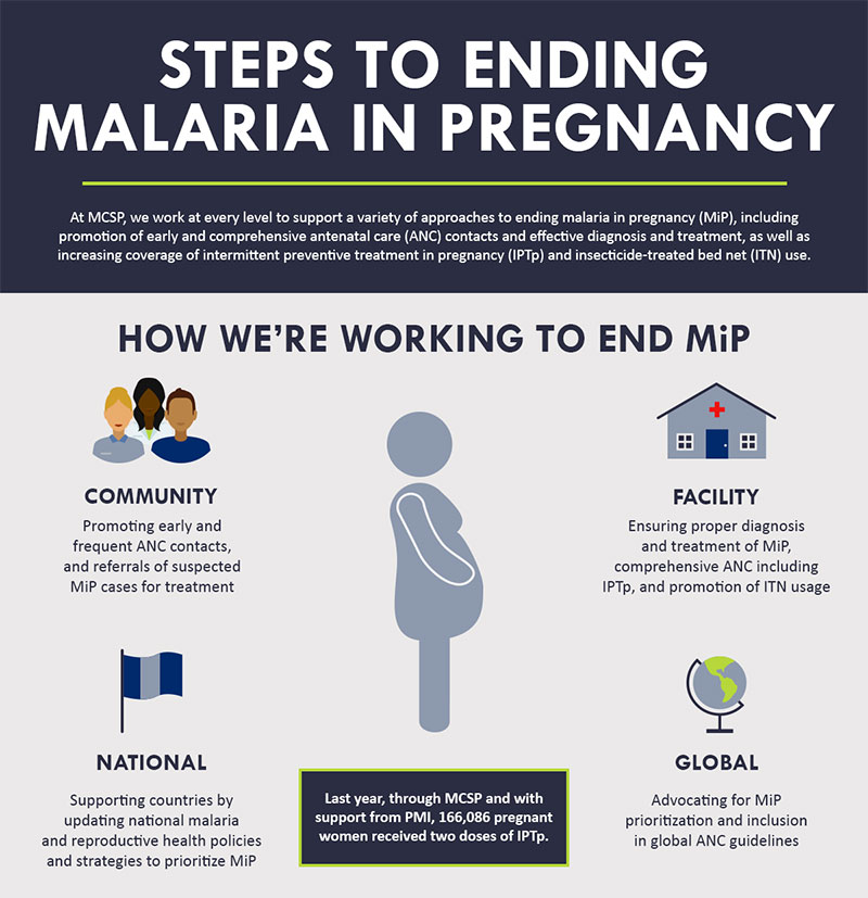 Steps to Ending Malaria in Pregnancy infographic.